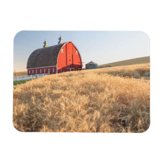 スプラハ近郊の夏の小麦畑Barn, Eastern 1 マグネット (横)