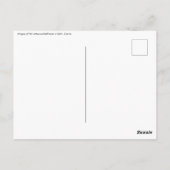 スプリットの人像のグレゴリー – ダルマティア,クロアチア ポストカード (裏面)