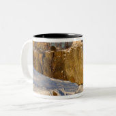 スプリットロックライトハウス州パークオンレイク ツートーンマグカップ (正面左)