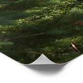 スプリットロックライトハウス ポスター (角)