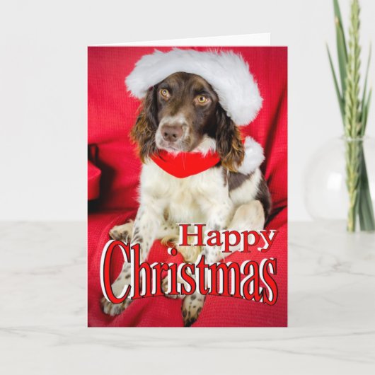 スプリンガーのクリスマス シーズンカード (正面)