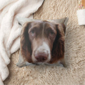 スプリンガースパニエルのクッションかspringerface クッション (ブランケット)