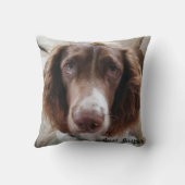 スプリンガースパニエルのクッションかspringerface クッション (裏面)