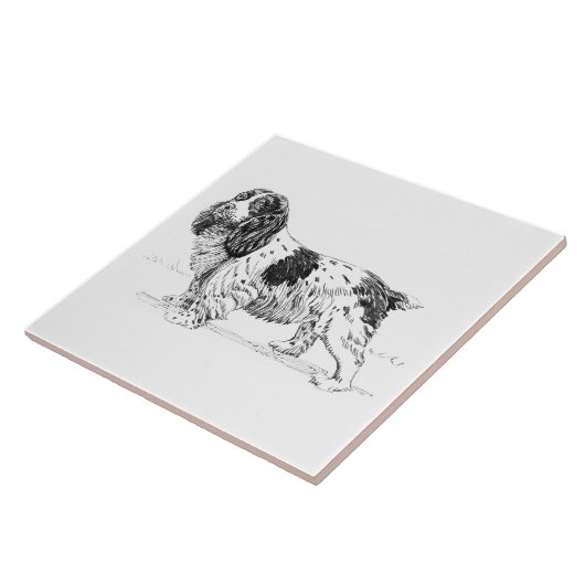 スプリンガースパニエルの鳥の猟犬の品種スケッチ タイル (側面)