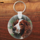 スプリンガースパニエル犬ドッグアート キーホルダー (正面)