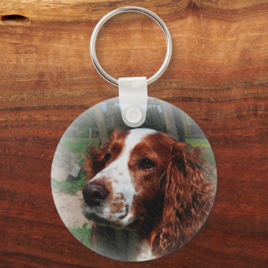 スプリンガースパニエル犬ドッグアート キーホルダー (正面)