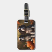 スプリンガースパニエル犬パピーオータムデライトカボチャ ラゲッジタグ (正面縦)