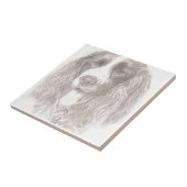 スプリンガースパニエル タイル (側面)