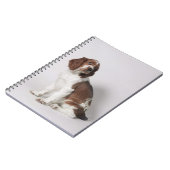 スプリンガースパニエル ノートブック (左側)