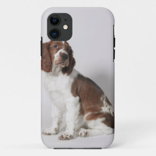 スプリンガースパニエル iPhone 11 ケース