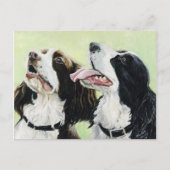 スプリンガーピーカーズオリジナルアートポストカード ポストカード (正面)