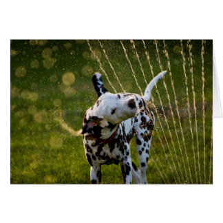 スプリンクラーのZeke