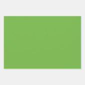 スプリンググリーン & ホワイト チェック ウェディング バースデー ラッピングペーパーシート (正面3)