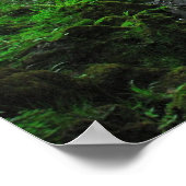 スプリングタイムでストリーム ポスター (角)