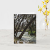 スプリングタイムアットフィンリー考えるリバーズオブユーカード カード (黄色い花)