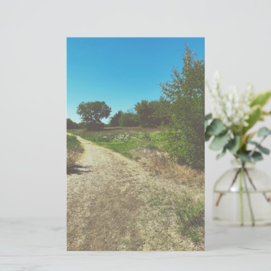 スプリングタイムパークスタディティ (スタンド正面)