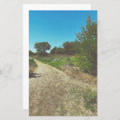 スプリングタイムパークスタディティ (正面/裏面)