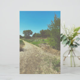 スプリングタイムパークスタディティ