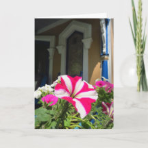 スプリングタイムフラワーボックス – Martha's Vineヤード