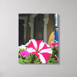 スプリングタイムフラワーボックス – Martha's Vineヤード キャンバスプリント