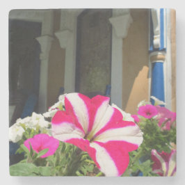 スプリングタイムフラワーボックス – Martha's Vineヤード ストーンコースター