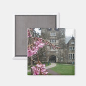 スプリングタイムペムアーチのブリンマー大学 マグネット (正面/裏面)