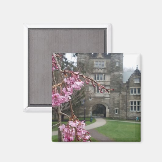 スプリングタイムペムアーチのブリンマー大学 マグネット (正面/裏面)