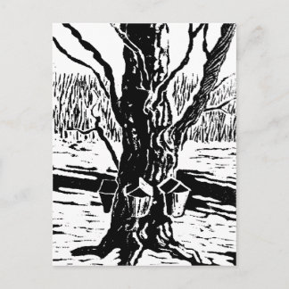 スプリングタイム魔法はがき ポストカード