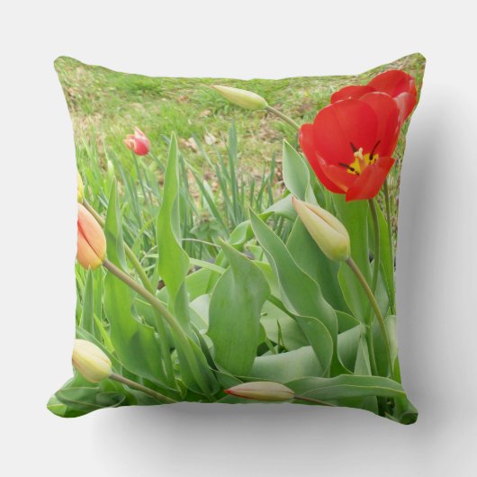 スプリングタイム17角枕 クッション (正面)