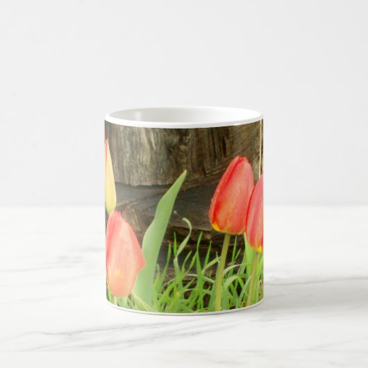 スプリングタイム2コーヒーカップ コーヒーマグカップ (中央)