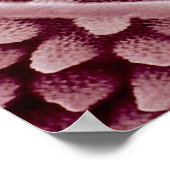 スプリングテール – 背面 ポスター (角)