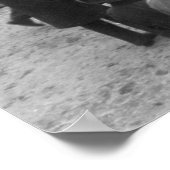 スプリングフィールドのオートレース: 1900 ポスター (角)