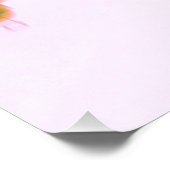 スプリングフィールド天窓 ポスター (コーナー)