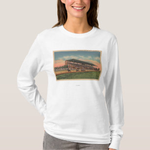 スプリングフィールド、IL -国家--の公平な地面の馬 Tシャツ