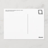 スプリングベールウィンドウ ポストカード (裏面)