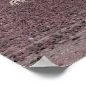 スプリングボクス食べ物のための放牧、ナミブ砂漠。 ポスター (角)