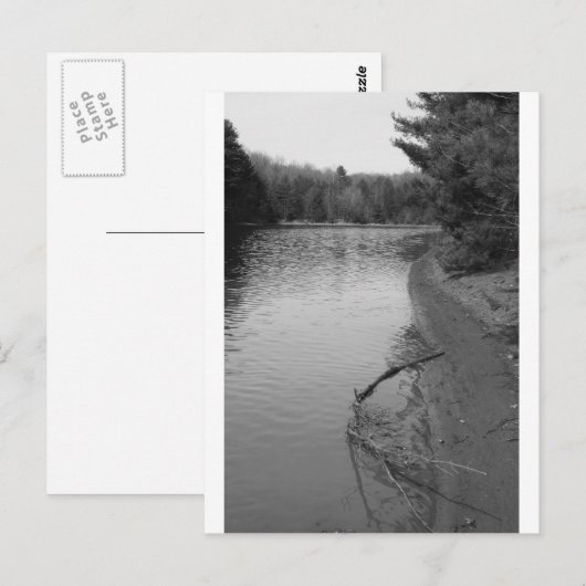 スプリングレイク ポストカード (正面/裏面)