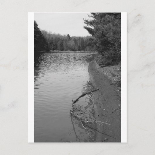 スプリングレイク ポストカード (正面)