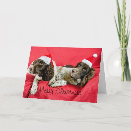 スプリング シーズンカード (正面)