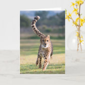 スプリント カード (黄色い花)