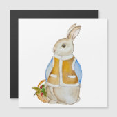 スプルースのぬか入りのバスケットを持つ可愛いクリスマスヘア (正面/裏面)