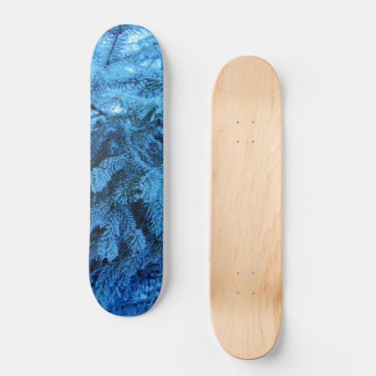 スプルースの枝は雪と霜の結晶で覆われている スケートボード (正面)