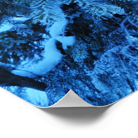 スプルースの枝は雪と霜の結晶で覆われている ポスター (角)