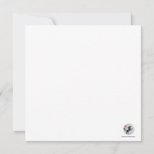 スプルース・グルーズ (裏面)