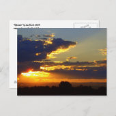 スプレンダー ポストカード (正面/裏面)