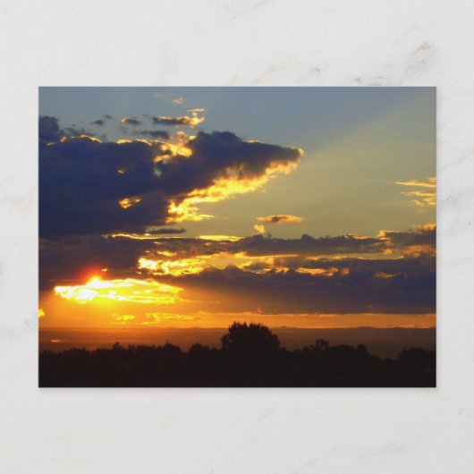 スプレンダー ポストカード (正面)