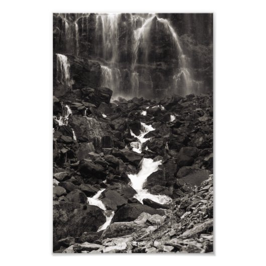 スプレー秋, WA フォトプリント            (正面)