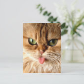 スプーンで私をギャグする ポストカード (スタンド正面)