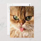 スプーンで私をギャグする ポストカード (正面/裏面)