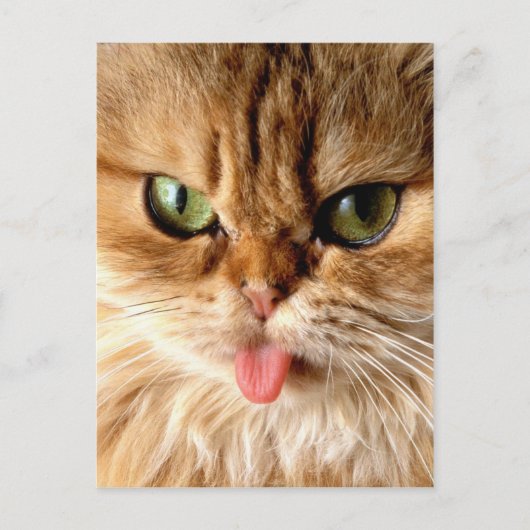 スプーンで私をギャグする ポストカード (正面)